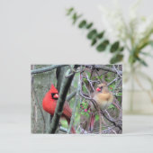 Carte Postale Cardinaux ( Printemps ) (Debout devant)