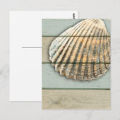 Carte Postale Cardita Shell (Devant / Derrière)