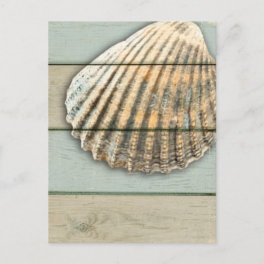 Carte Postale Cardita Shell (Devant)