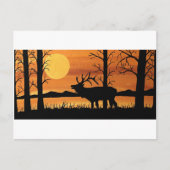 Carte Postale Caribou (Devant)