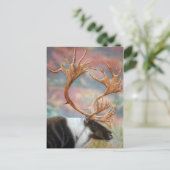 Carte Postale Caribou (Debout devant)