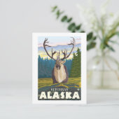 Carte Postale Caribou en nature - Ketchikan, Alaska (Debout devant)