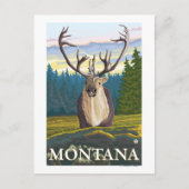 Carte Postale Caribou en pleine nature - Montana (Devant)