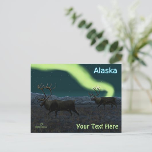 Carte Postale Caribou - Longue Marche (Debout devant)