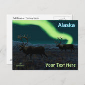 Carte Postale Caribou - Longue Marche (Devant / Derrière)