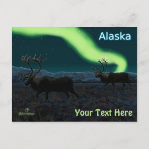 Carte Postale Caribou - Longue Marche