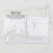 Carte Postale Caribou traversant la rivière Kobuk, Alaska (Dos)