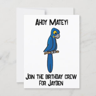Carte Postale Caricature de perroquet Ahoy Matey Pirate, drôle d