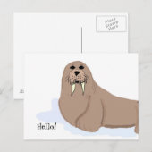 Carte Postale Caricature de Walrus (Devant / Derrière)