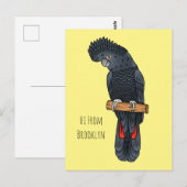 Carte Postale Caricature d'oiseau à queue rouge (Devant / Derrière)