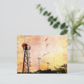 Carte Postale carie graffiti urbaine (Debout devant)