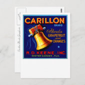 Carte Postale Carillon Florida Grapefruits (Devant / Derrière)