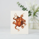 Carte Postale Carl Chun Vintage Octopus Illustration Marine (Debout devant)