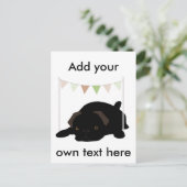 Carte Postale Carlin (Debout devant)