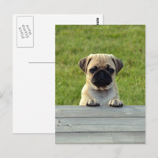 Carte Postale Carlin (Devant / Derrière)