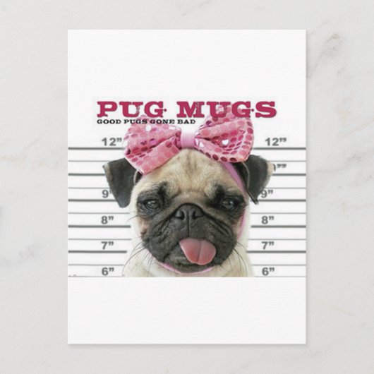 Carte Postale Carlin (Devant)