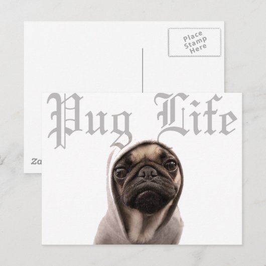 Carte Postale Carlin (Devant / Derrière)