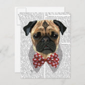 Carte Postale Carlin avec Cravate à mâchoires rouges (Devant / Derrière)