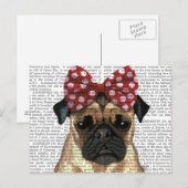 Carte Postale Carlin avec poitrine rouge sur la tête (Devant / Derrière)