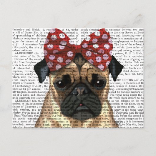 Carte Postale Carlin avec poitrine rouge sur la tête (Devant)