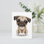 Carte Postale Carlin bébé mignon Chien chiot sur blanc (Debout devant)