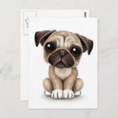 Carte Postale Carlin bébé mignon Chien chiot sur blanc (Devant / Derrière)