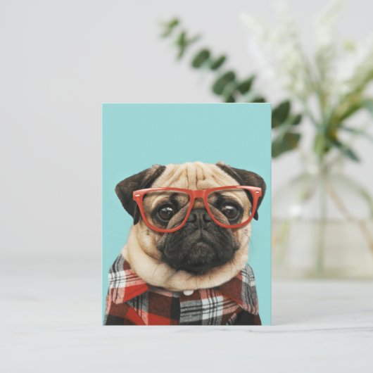 Carte Postale Carlin Chemise Plaid (Debout devant)