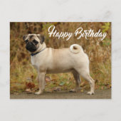 Carte postale Carlin Chien Chien Chien Chien Heure (Devant)