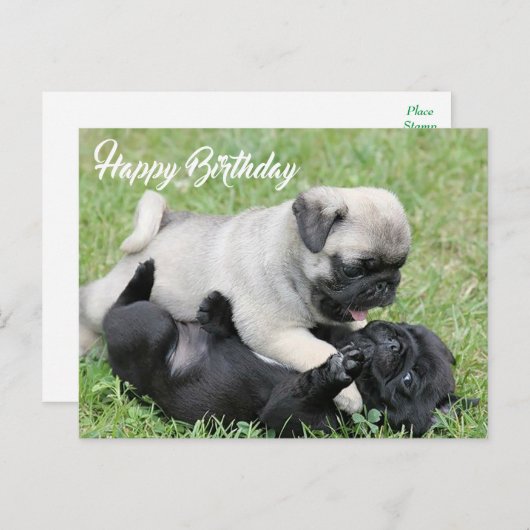 Carte postale Carlin Chien Chien Chien Chien Heure (Devant / Derrière)