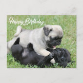 Carte postale Carlin Chien Chien Chien Chien Heure (Devant)