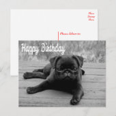 Carte postale Carlin Chien Chien Chien Chien Heure (Devant / Derrière)