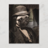 Carte Postale Carlin Chien Dapper Gent (Devant)