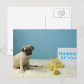 Carte Postale Carlin chiot assis sur le lit à côté du téléphone  (Devant / Derrière)