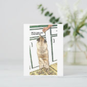 Carte postale carlin Cookie Butt (Debout devant)