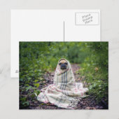 Carte Postale Carlin dans une couverture (Devant / Derrière)