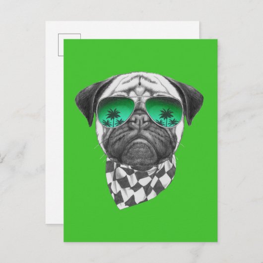 Carte Postale Carlin de Miami (Devant / Derrière)