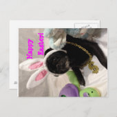 Carte postale Carlin de Pâques (Devant / Derrière)