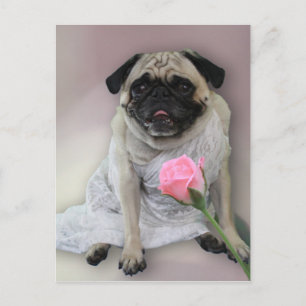 Carte Postale Carlin du jour de mariage