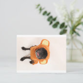 Carte Postale carlin en costume de singe (Debout devant)