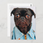 Carte Postale Carlin en Denim Jackey Cute Adorable Chien Chien C (Devant / Derrière)