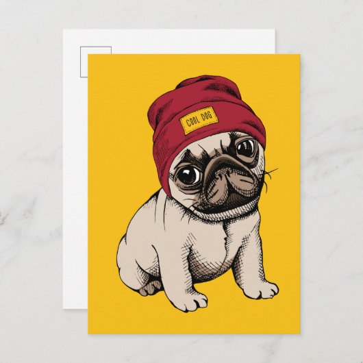 Carte Postale Carlin Hipster Mini Chippi (Devant / Derrière)