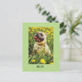 Carte postale carlin Life Dog (Debout devant)