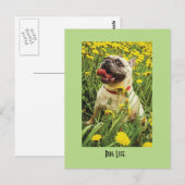 Carte postale carlin Life Dog (Devant / Derrière)