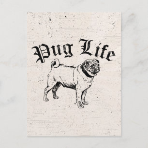 Carte Postale Carlin Life Funny Chien Gangster