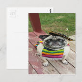 Carte Postale Carlin mexicain (Devant / Derrière)