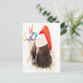 Carte Postale Carlin Noël (Debout devant)