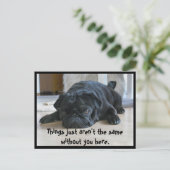 Carte postale Carlin noir mignon et lazy (Debout devant)