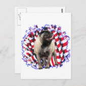 Carte Postale Carlin Patriot (Devant / Derrière)