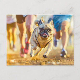 Carte Postale Carlin sportif en train de courir pendant l'exerci