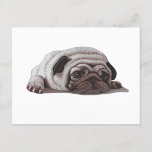 Carte Postale Carlin triste